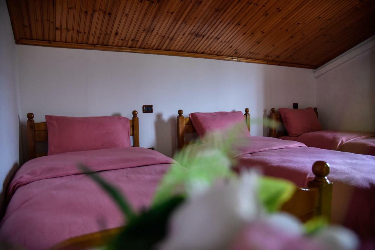 Villa Garden Shkodra Экстерьер фото