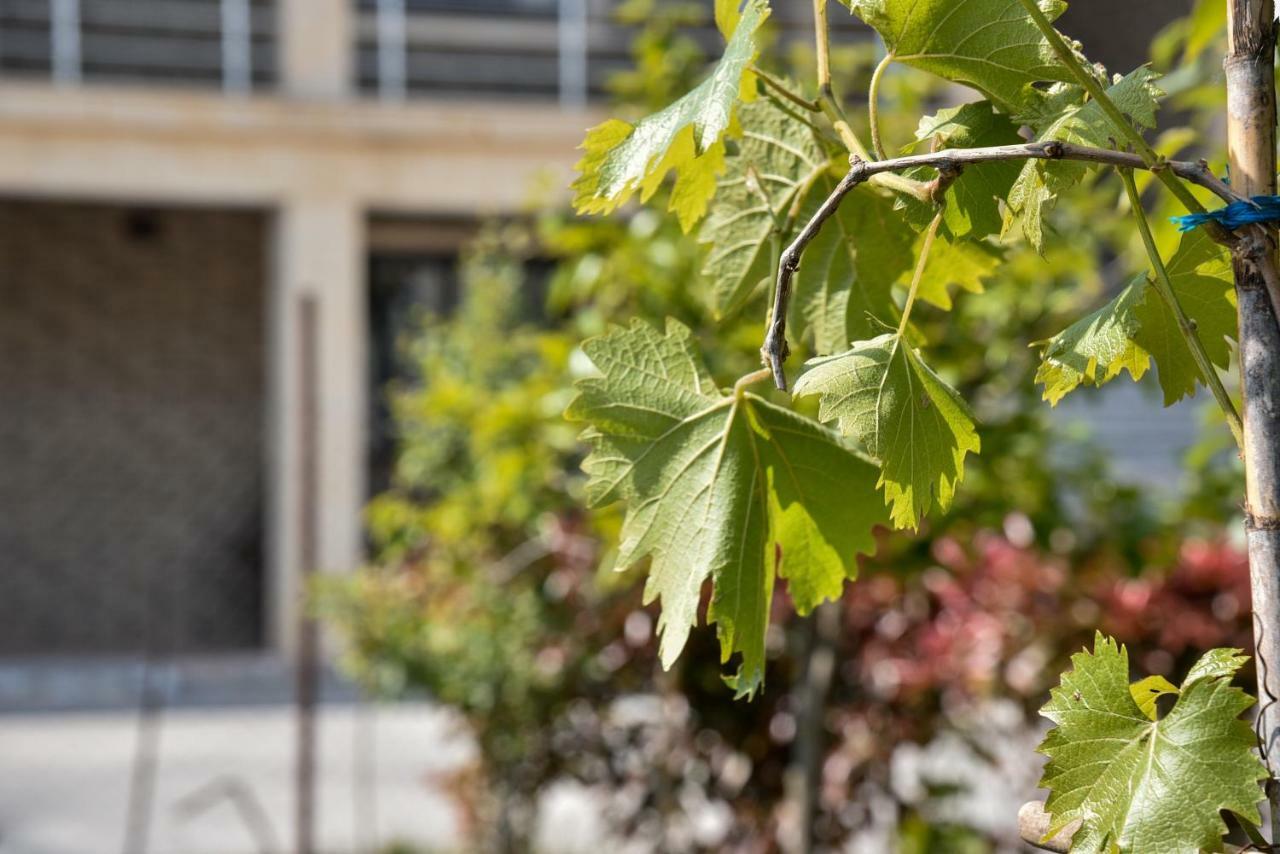 Villa Garden Shkodra Экстерьер фото