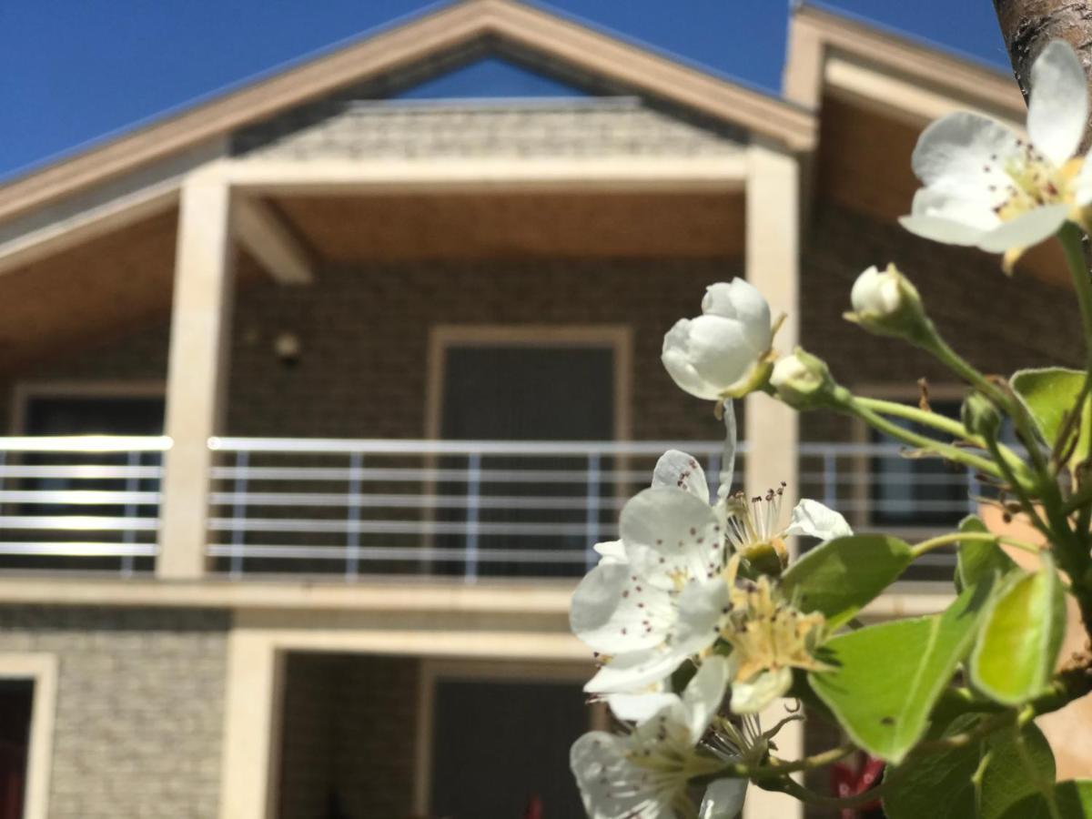 Villa Garden Shkodra Экстерьер фото
