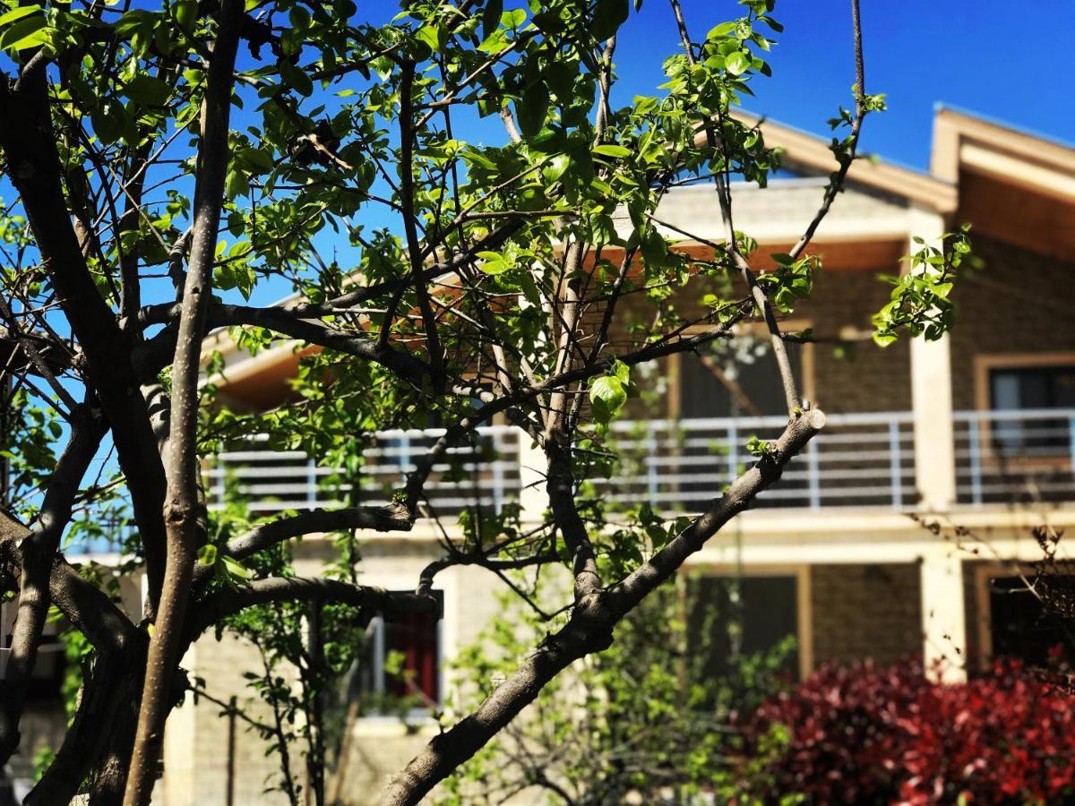 Villa Garden Shkodra Экстерьер фото